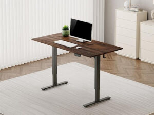Standing Desk with Adjustable Height